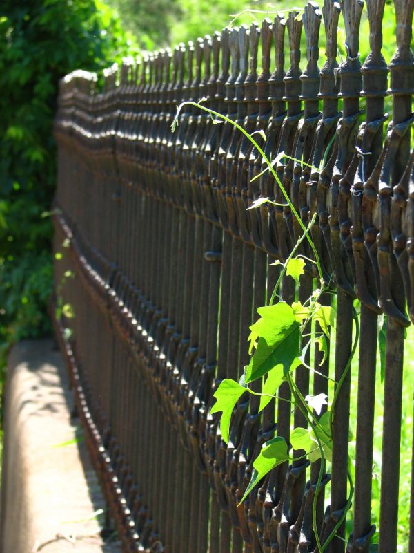 Iron Fence Installation in Alpharetta, GA